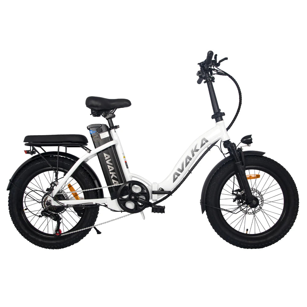 Electric Folding Bike