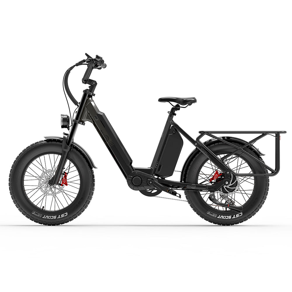 BEZIOR X500MAX Electric Mountain Bike